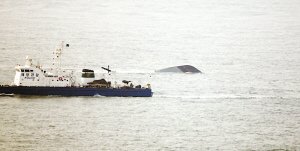 媒體稱天安艦爆炸沉沒(méi)系韓海軍史上最大慘案