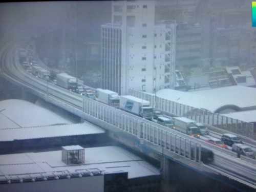 日本東京首都圈因暴風(fēng)雪交通大亂列車停駛（圖）