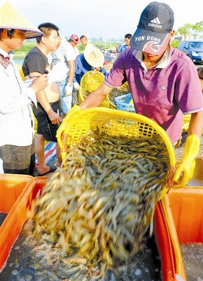 欽州：北部灣新興海灣城市